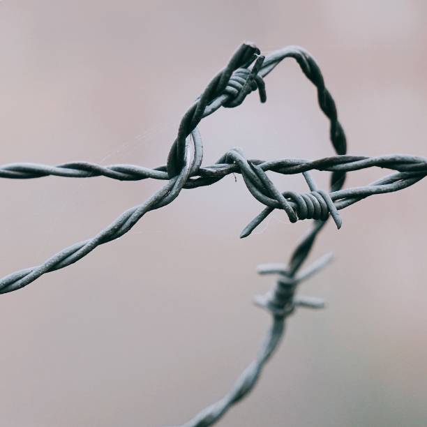 istock old metallic barbed wire fence 1127364112