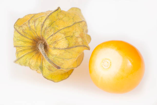 golden berry, cape gooseberry on white background - physalis peruviana - gooseberry winter cherry uchuva isolated imagens e fotografias de stock