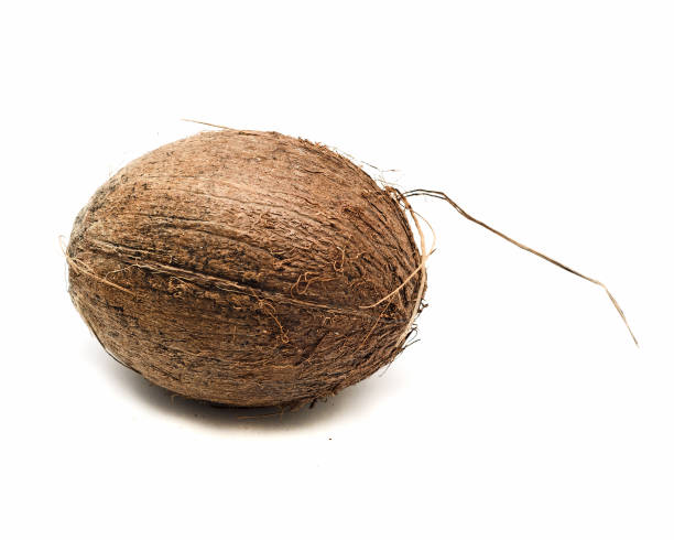 istock Coconut isolated on white background.Whole dry fruit. 1127365087
