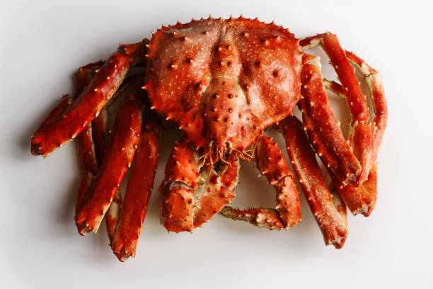 istock Big whole alaskan crab on white background 1127367695