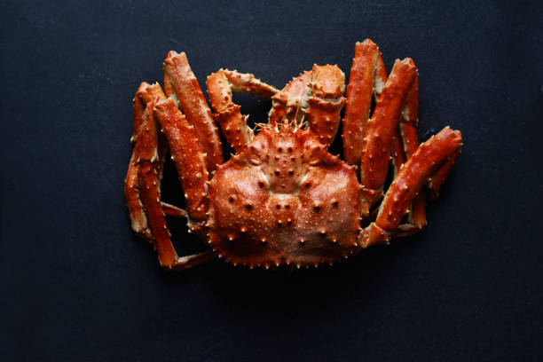 istock Big whole alaskan crab on dark concrete background 1127367700
