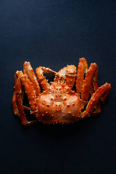 istock Big whole alaskan crab on dark concrete background with copy space 1127367701