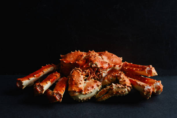gran cangrejo de alaska entero sobre fondo oscuro hormigón con espacio de copia - alaskan king crab fotografías e imágenes de stock