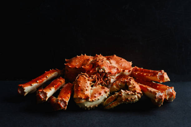Big whole alaskan crab on dark concrete background with copy space stock photo