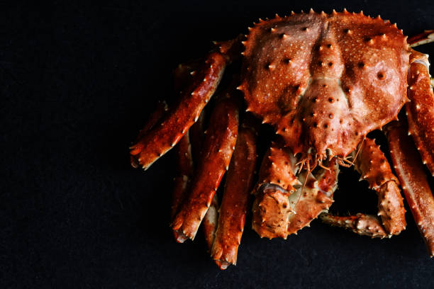 istock Big whole alaskan crab on dark concrete background with copy space 1127367707