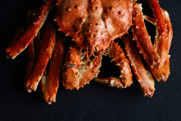 istock Big whole alaskan crab on dark concrete background 1127367710