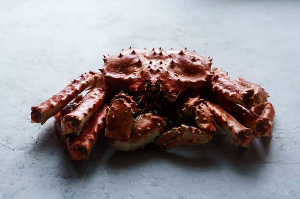 istock Big whole alaskan crab on concrete background 1127367716