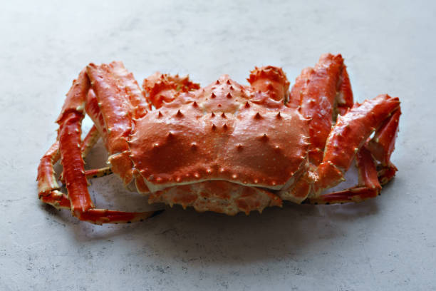 istock Big whole alaskan crab on concrete background 1127367721