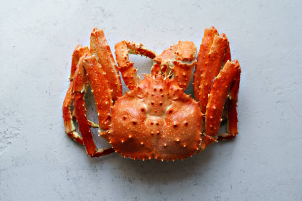 istock Big whole alaskan crab on concrete background 1127367723