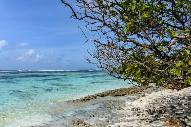 istock A tropical beach with sand and clear blue/green water. 1127368327