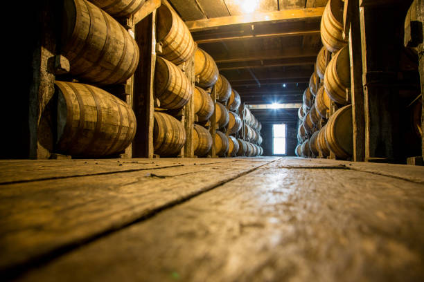 Bourbon Barrels or Casks in an aging cellar stock photo