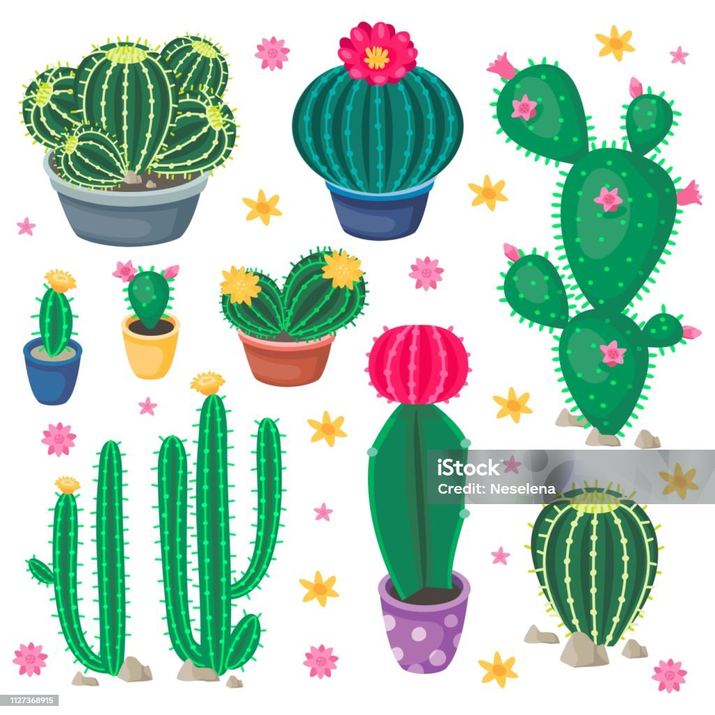 Ilustración de Cactus De Dibujos Animados Con Cactus De Colores Lindos  Plantas En Las Macetas Y Flores Suculentas Del Desierto Ilustraciones  Botánicas De Vectores y más Vectores Libres de Derechos de Afilado -