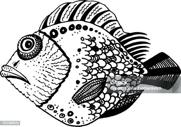 Vector Black And White Ornamental Patterned Displeased Fish On A White Background Stock Illustration - Download Image Now