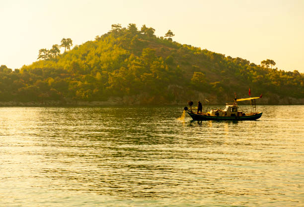 Fishing in the morning