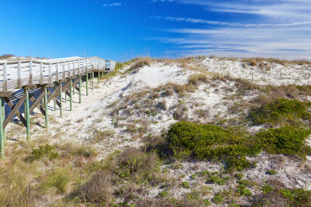 istock Anastasia State Park, Florida 1127370454