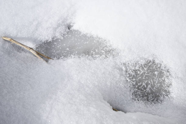 istock Ice Patch in the Snow Close Up Abstract 1127370625