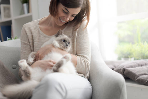 istock Woman petting her beautiful cat at home 1127373346