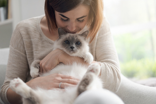 Mujer acariciando su hermoso gato en casa photo
