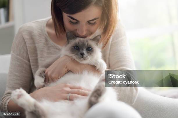 Woman Petting Her Beautiful Cat At Home Stock Photo - Download Image Now - Domestic Cat, Pets, One Woman Only