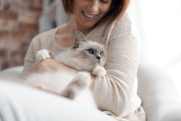 istock Woman petting her beautiful cat at home 1127373390