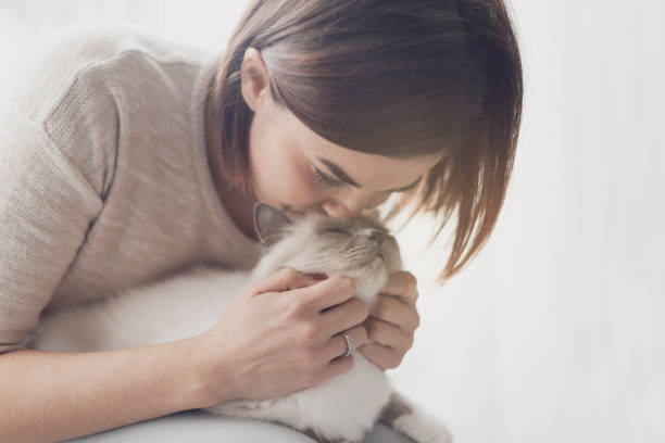 istock Woman hugging and petting her cat 1127373713