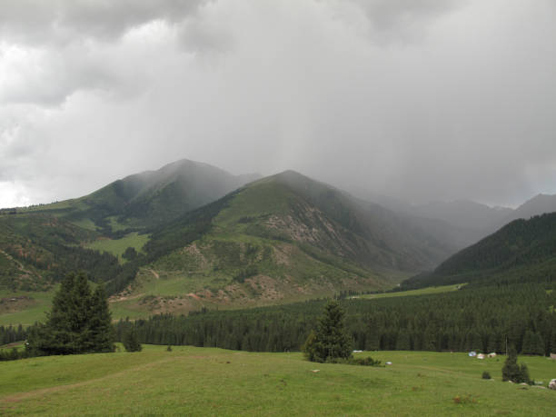 heavy rain in the mountains heavy rain far in the mountains and coniferous forest with dark clouds горная гряда stock pictures, royalty-free photos & images