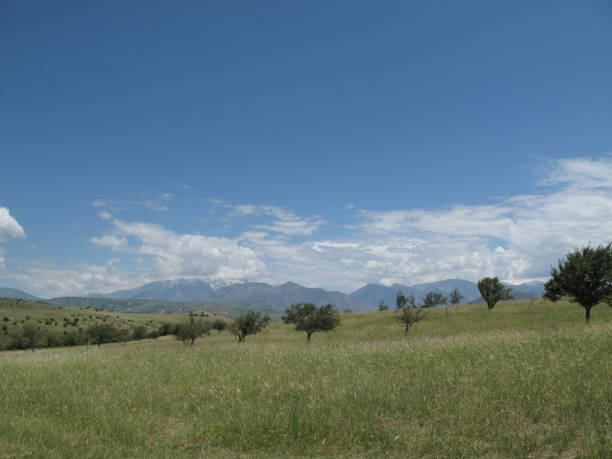 mountain field in Uzbekistan mountain meadow and a few fruit trees and in the distant mountains горная гряда stock pictures, royalty-free photos & images