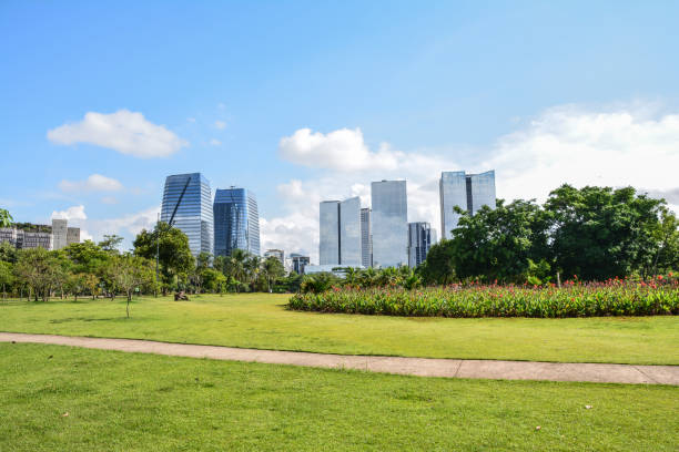 istock Modern buildings in Sao Paulo, view from Parque do Povo 1127375352