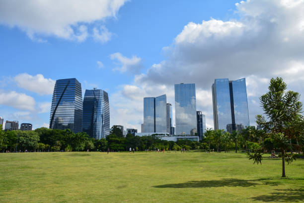 istock Modern buildings in Sao Paulo, view from Parque do Povo 1127375416