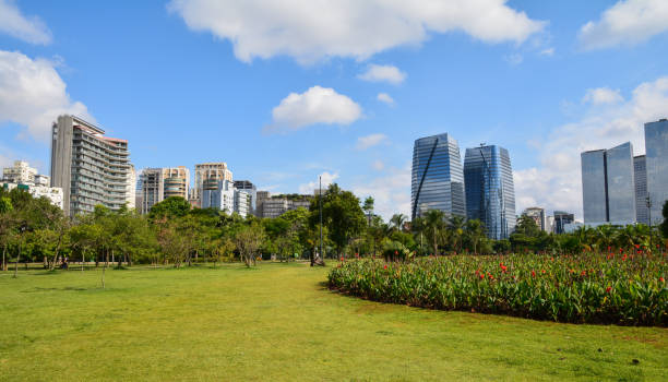 istock Modern buildings in Sao Paulo, view from Parque do Povo 1127375431
