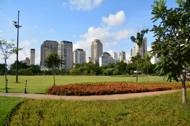 istock Buildings in Sao Paulo, view from Parque do Povo 1127375993