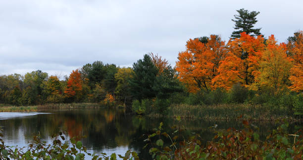 istock Salisbury Pond in Worcester, Massachusetts late autumn 1127376122