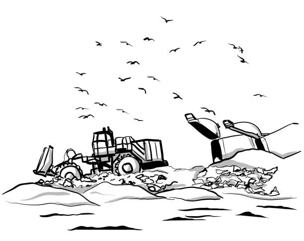 wysypisko odpadów - landfill garbage dump garbage bird stock illustrations