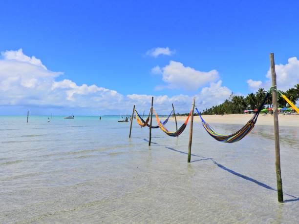 Antunes's Beach, Maragogi, Alagoas, Brazil. Vacation on the paradise. Fantastic beach scene. Relax in the beach's hammock. Travel scene. Vacation scene. Tropical scene. Maragogi, Alagoas, Brazil. cristian stock pictures, royalty-free photos & images