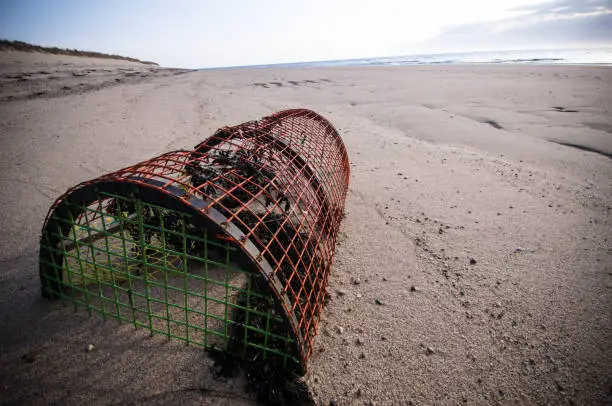 A lobster pot, sitting in the sand on the beach, with seaweed