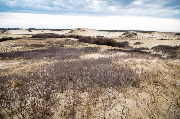 Sand dunes and drifts along Cape Cod National Seashore on an overcast cloudy day, at Race Point