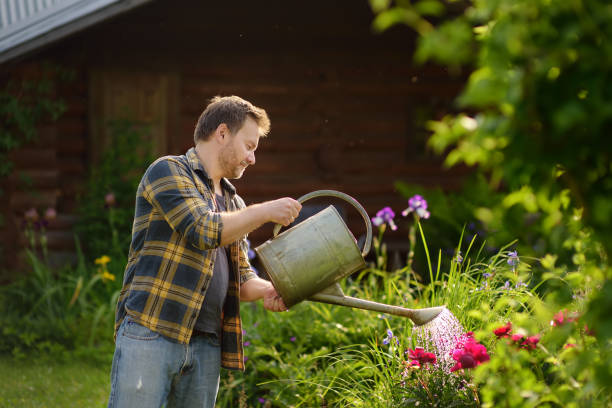 夏の庭の花に水をまくハンサムな中年男性。 - iris single flower flower outdoors ストックフォトと画像