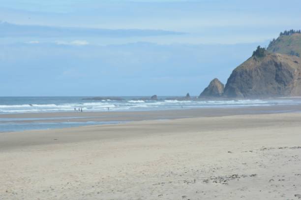 istock Pleasant Spring Morning At Road's End State Park - Oregon 1127389131