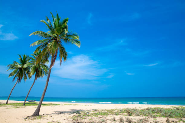 istock Beautiful sky and blue sea 1127390675