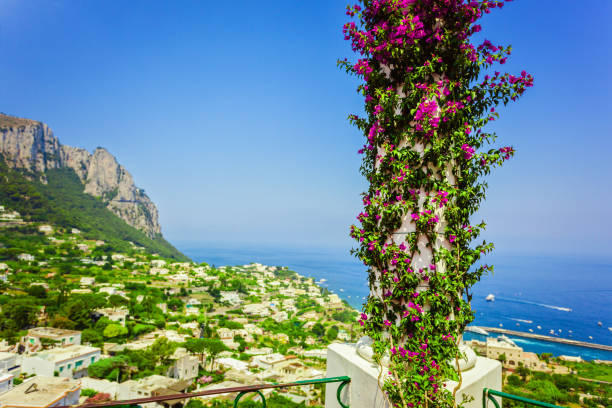 Panoramic view on a coast of Campri island from terrace with columns with bougainvilleas