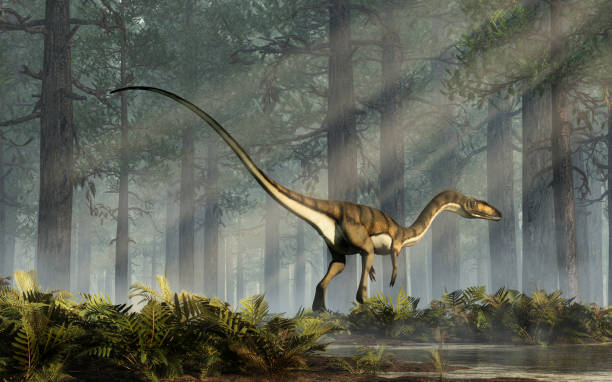 istock Coelophysis Prowling a Forest 1127393554