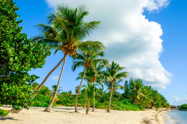 istock South Hole Sound-Beach 2 1127396904