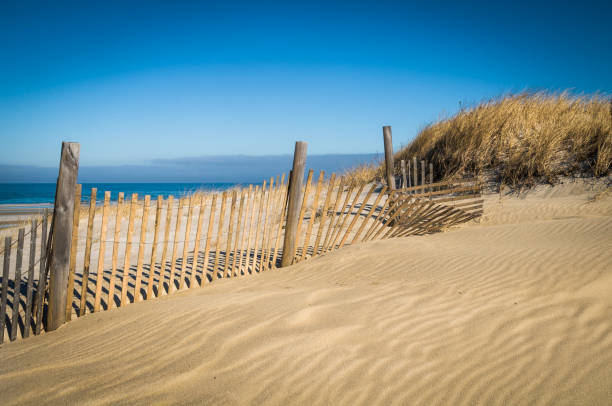 Patterns in the Sand Constant wind off the ocean creates patterns and ripples in the sand behind a fence on a Cape Cod beach. marram grass photos stock pictures, royalty-free photos & images