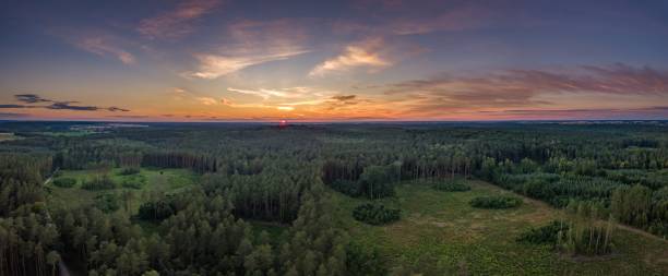 istock Aerial landscape with forest in sunset light 1127399345