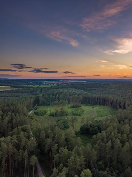 istock Aerial landscape with forest in sunset light 1127399382