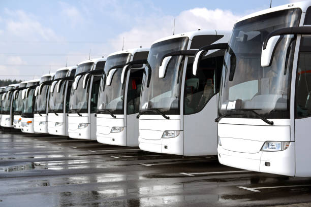 white coach buses in a row - bus coach bus travel tour bus imagens e fotografias de stock