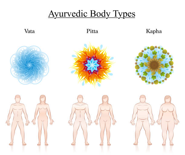 illustrations, cliparts, dessins animés et icônes de types de corps de constitution. symboles de dosha ayurvédique - vata, pitta, kapha avec illustration des couples. illustration de vecteur isolé sur blanc. - ayurveda