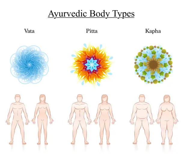 Vector illustration of Body constitution types. Ayurvedic dosha symbols - vata, pitta, kapha with illustration of couples. Isolated vector illustration on white.