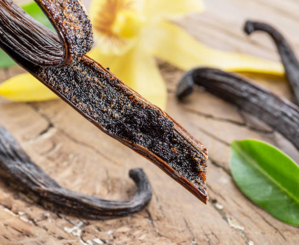 istock Dried vanilla fruits and vanilla orchid. 1127401983
