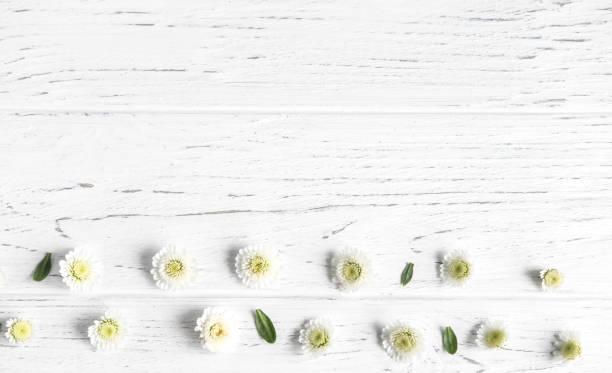 istock Frame for greeting card. Background for a banner with flowers and space for copywriting. Template banner with flower for design. Flower banner 1127403931